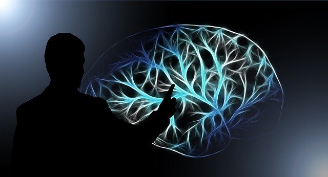 Hyperthymesia: Can a Person Remember Everything?